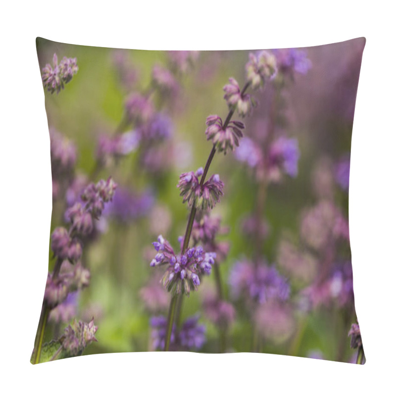 Personality  Clsoeup Of The Salvia Flowers In The Field Pillow Covers