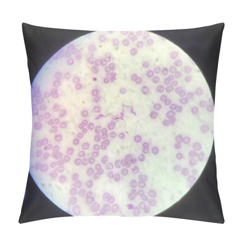 Personality  Blood Parasite Trypanosoma On Red Blood Cells Medical Background Concept. Pillow Covers