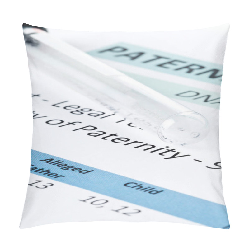 Personality  Paternity Test Result Form With Buccal Swab In Test Tube Pillow Covers