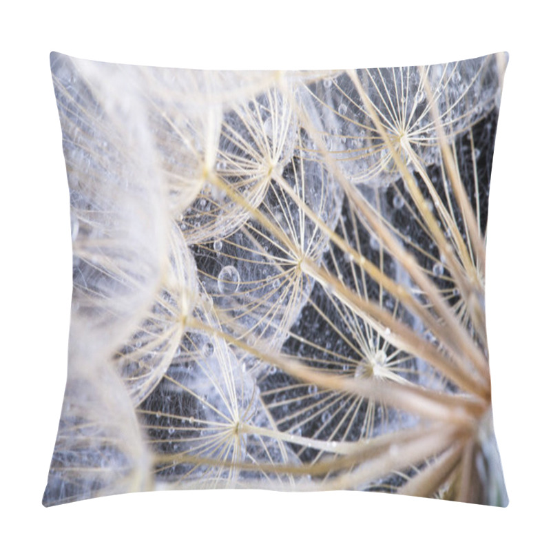 Personality   Macro Photo Of Dandelion Seeds With Water Drops Pillow Covers