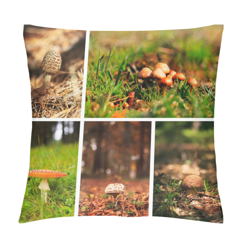 Personality  Mushrooms Collage  Pillow Covers