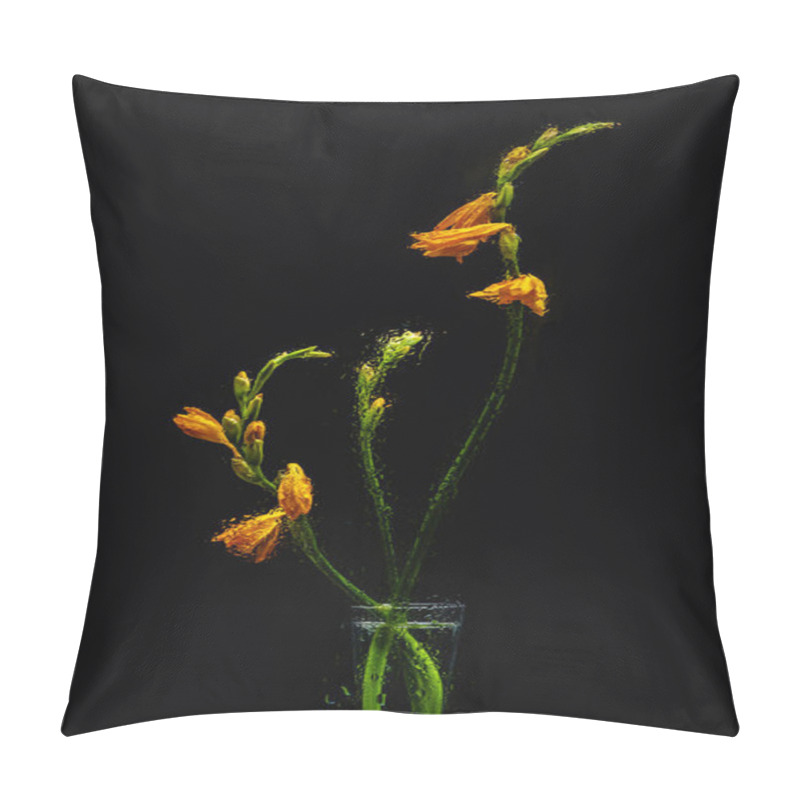 Personality  Wet Orange Lily Flowers In Transparent Vase Isolated On Black  Pillow Covers