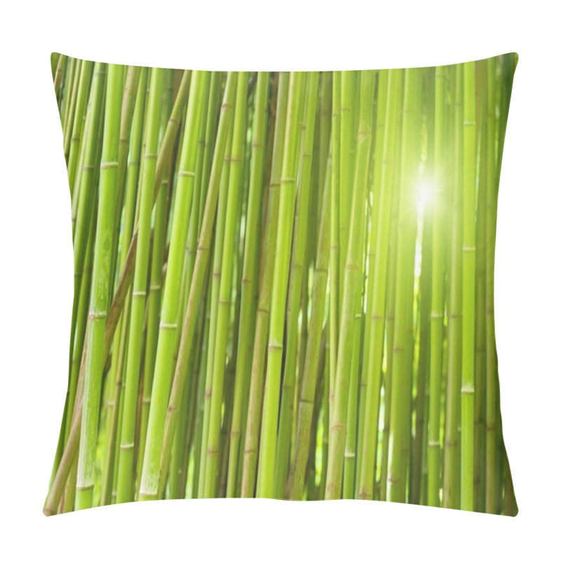 Personality  Green Bamboo Forest Pillow Covers