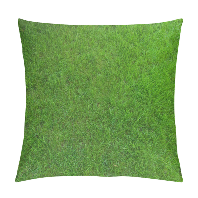 Personality  Real Green Grass Texture Pillow Covers