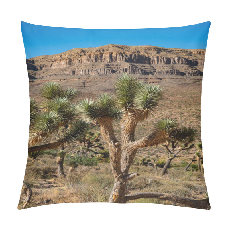 Personality  Joshua Tree In The Desert. Picture Of Joshua Tree Pillow Covers