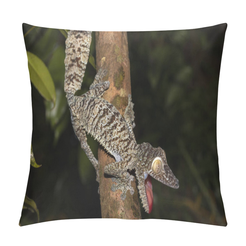 Personality  Giant Leaf-tailed Gecko, Uroplatus Fimbriatus Pillow Covers