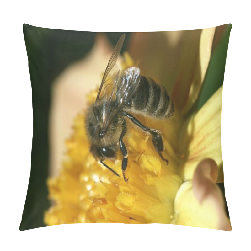 Personality  Bee At Work Pillow Covers