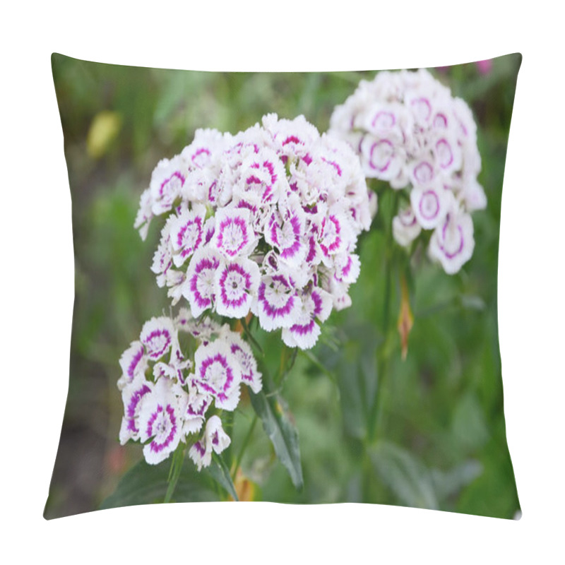 Personality  Carnation Garden, Flower In The Garden (Dianthus Barbatus) Pillow Covers