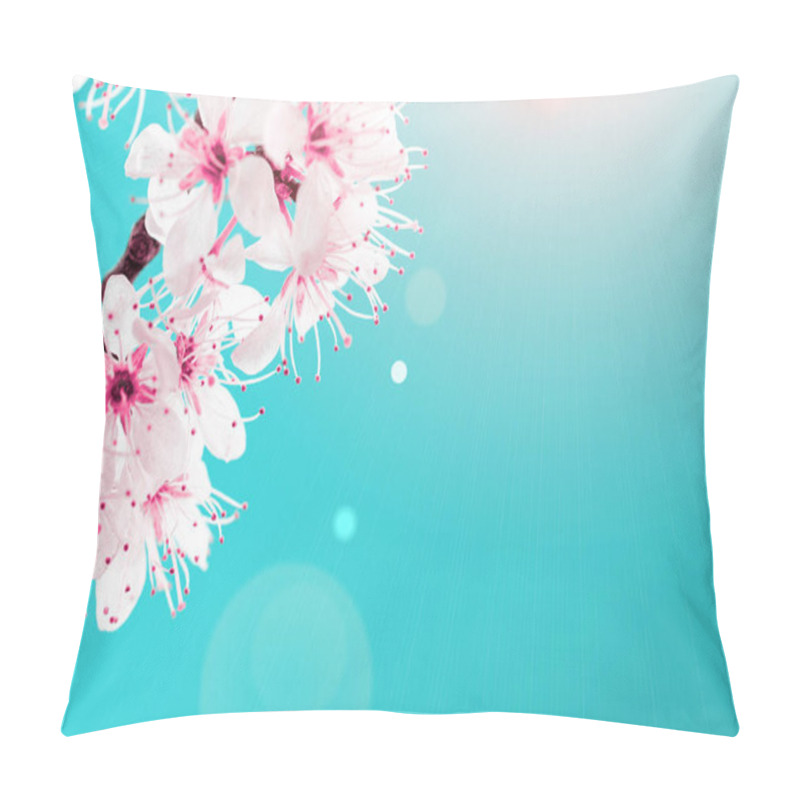 Personality  Spring Blossom. May Flowers And April Floral Nature On Blue Background. Branches Of Blossoming Apricot Macro With Soft Focus. For Easter And Spring Greeting Cards With Copy Space. Springtime. Pillow Covers