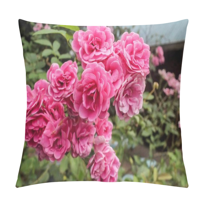 Personality  Clusters Of Vibrant Pink Roses In Full Bloom Against A Backdrop Of Green Foliage, Showcasing Nature's Beauty And Floral Elegance. Pillow Covers