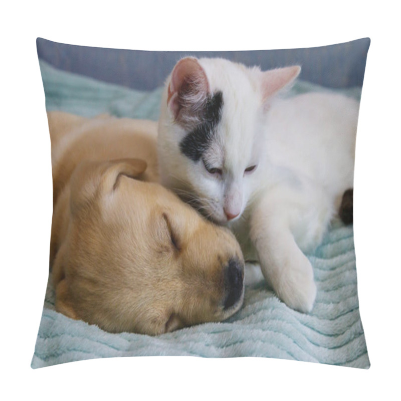 Personality  Small Cute Labrador Retriever Puppy Dog And Young Cat On A Bed. Friendship Of Pets Pillow Covers