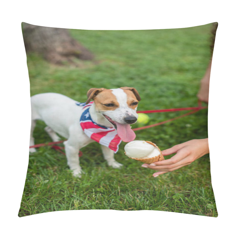 Personality  Cropped View Of Young Woman Holding Ice Cream Near Jack Russell Terrier Dog Pillow Covers