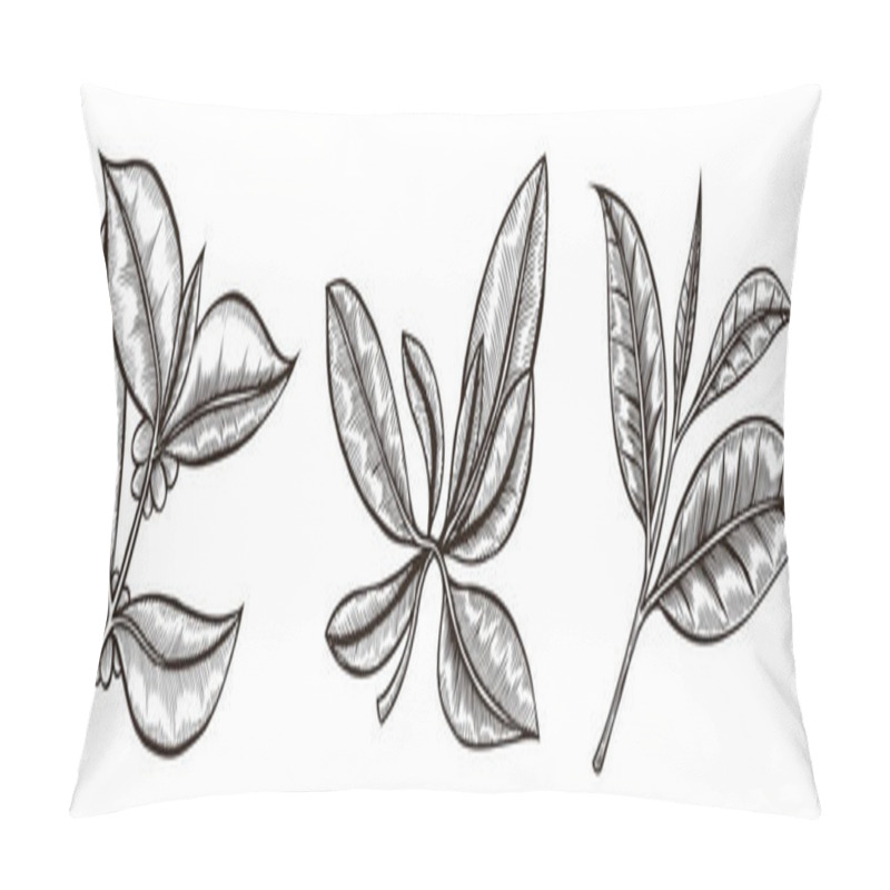 Personality  Coffee Branch. Hand Drawn Engraving On Beige Background Pillow Covers