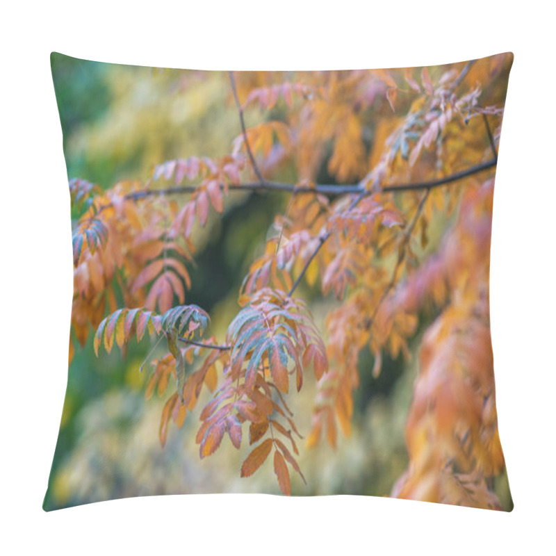 Personality  The Delicate Details Of Orange-tinged Leaves On A Branch, Set Against A Blurred Backdrop Of Autumnal Foliage, A Harmonious Dance Of Fall's Fiery Hues. Pillow Covers