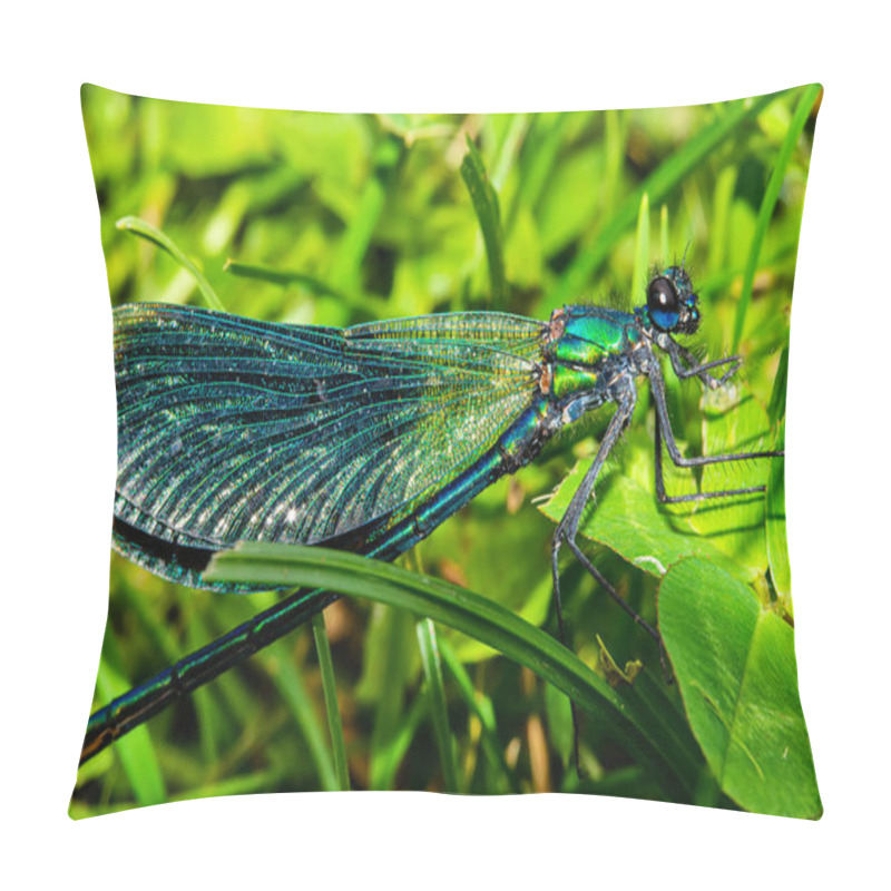 Personality  Beautiful Blue Dragonfly On Grass Pillow Covers