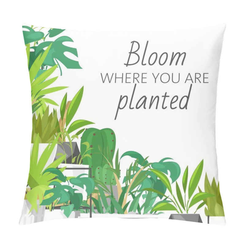 Personality  Wild Tropical House Plants Vector Illustration, Home Garden Decor. Print Design With Terrarium And Lettering, Bloom Where You Are Planted. Monstera, Cacti And Succulent Leaves. Pillow Covers