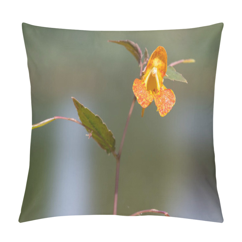 Personality  Close Up Of An Orange Balsam (impatiens Capensis) Flower Pillow Covers