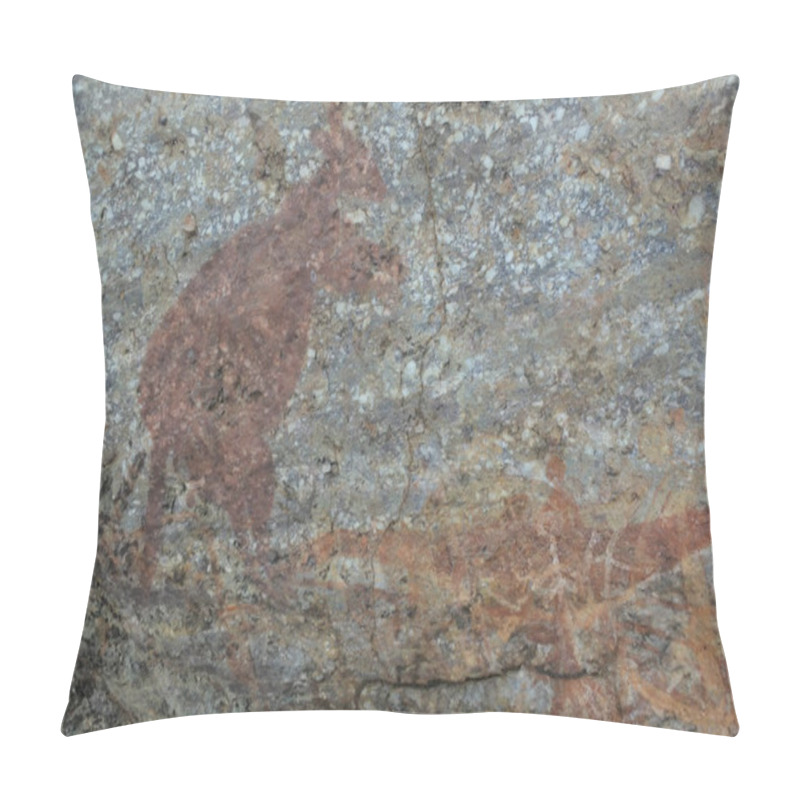 Personality  Aboriginal Rock Paintings In Kakadu National Park Northern Terri Pillow Covers