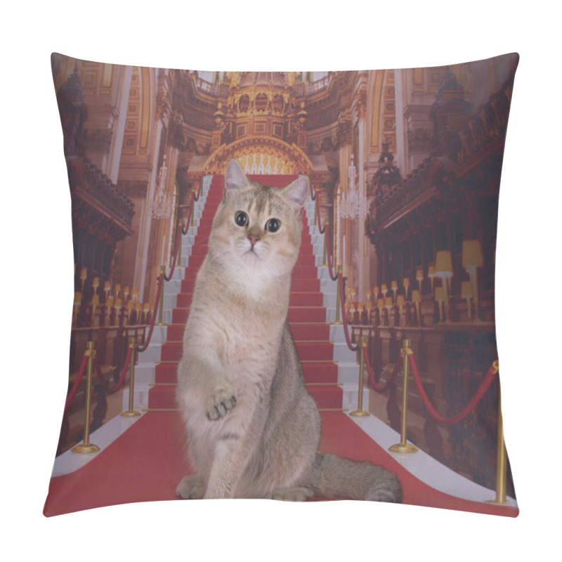 Personality  Golden British Cat On The Red Carpet Pillow Covers