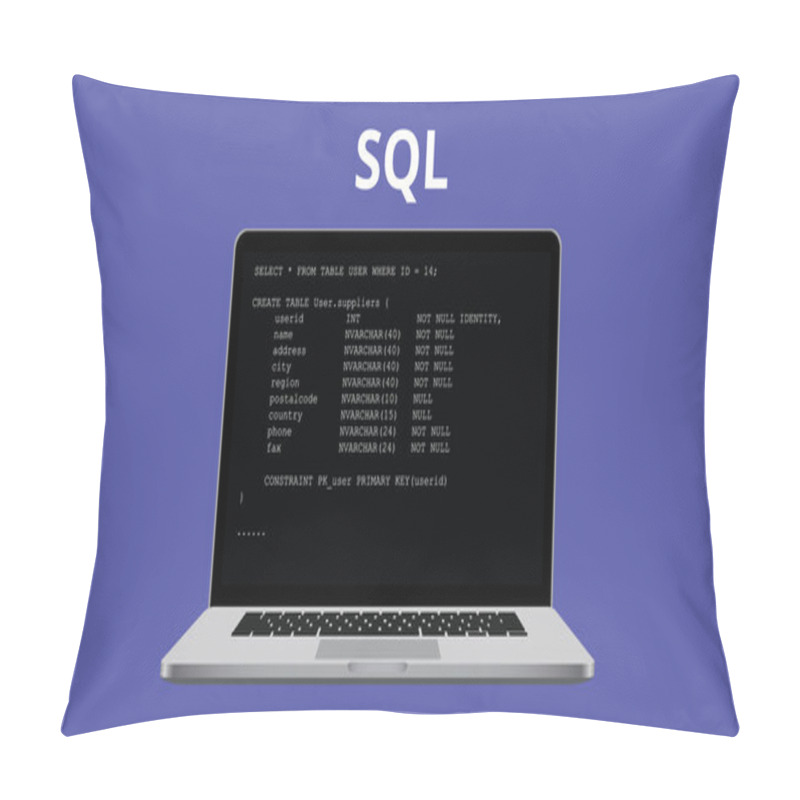 Personality  Sql Syntax Programming Illustration With Laptop And Code Program Pillow Covers