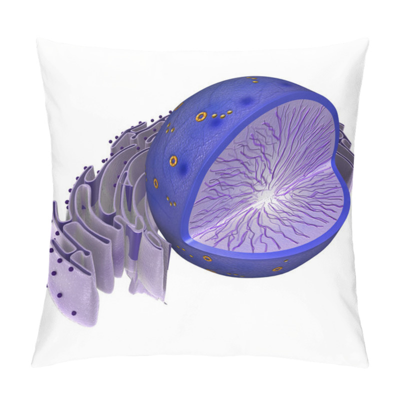 Personality  Nucleus Structure, Layers Pillow Covers