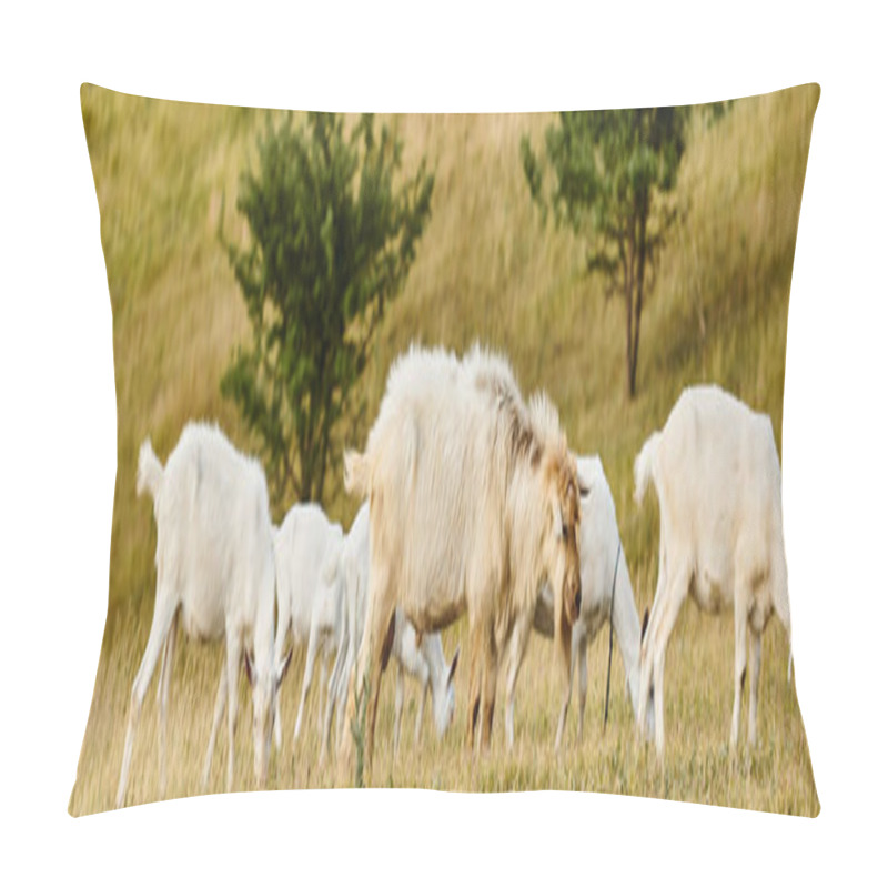 Personality  Huge Cattle Of Vivid Cute Goats Grazing Fresh Weeds And Grass While In Green Scenic Field, Banner Pillow Covers