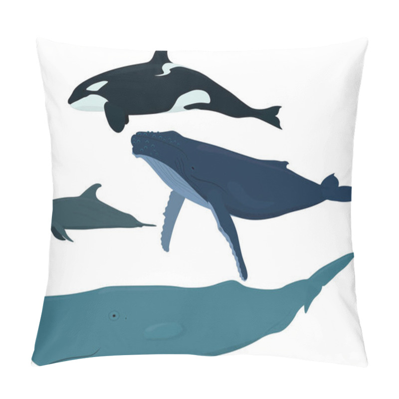 Personality  Sea Mammals: Orca, Dolphin, Blue Whale, Sperm Whale Vector Illustration Pillow Covers