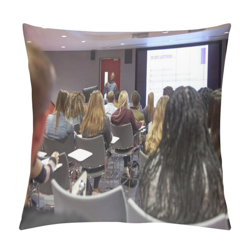 Personality  Student Lecture In Modern University Classroom Pillow Covers