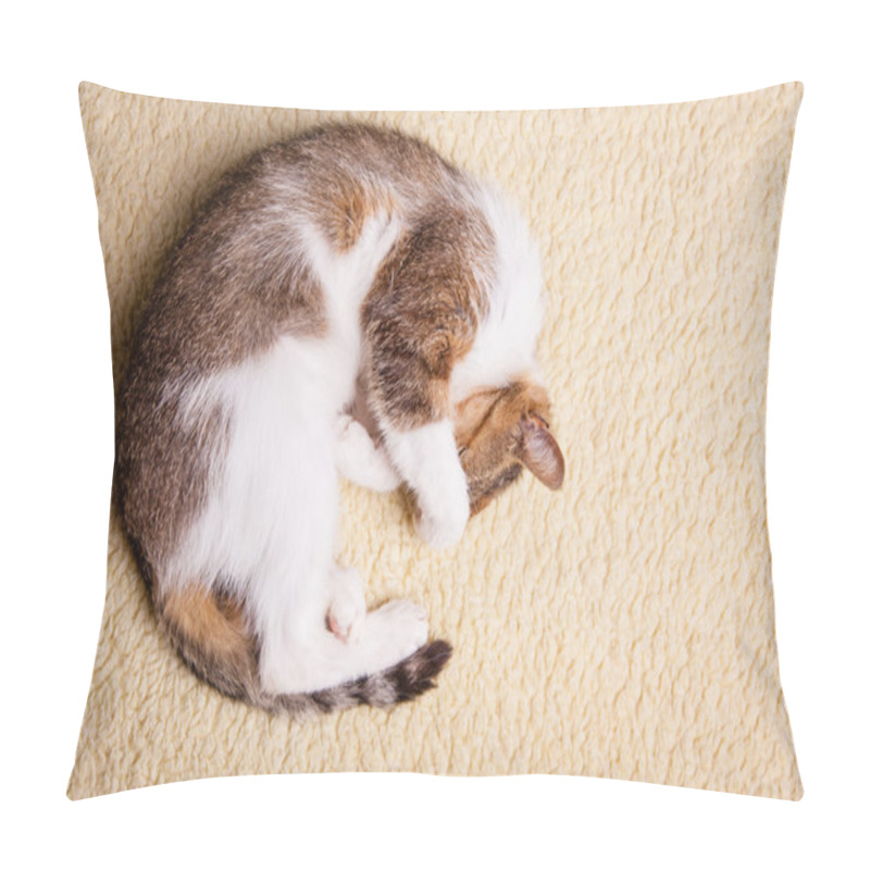 Personality  Relaxing Cat Pillow Covers