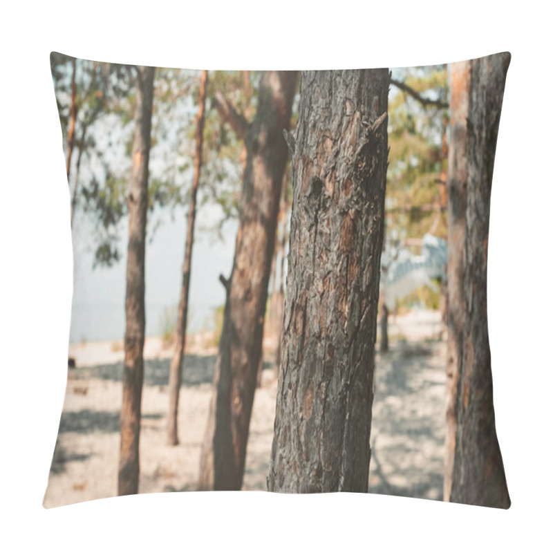 Personality  Close Up View Of Pine Trees In Forest On Summer Day Pillow Covers