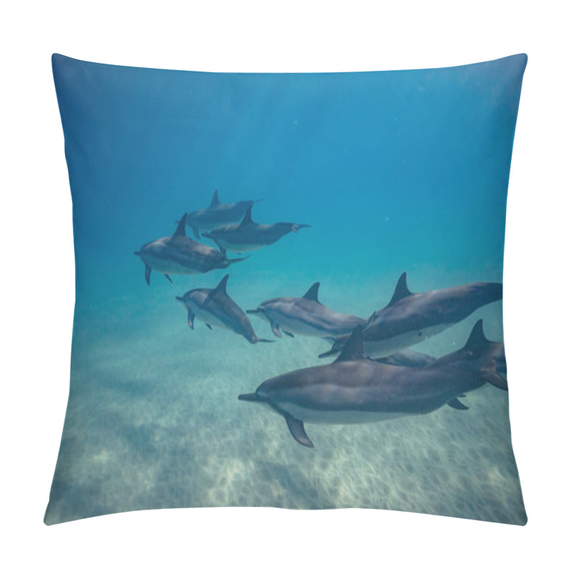 Personality  Wild Dolphins Underwater  Pillow Covers