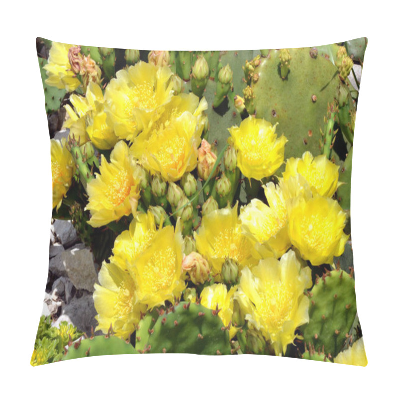 Personality  Yellow Blossoms Of Prickly Pear Cactus  Pillow Covers