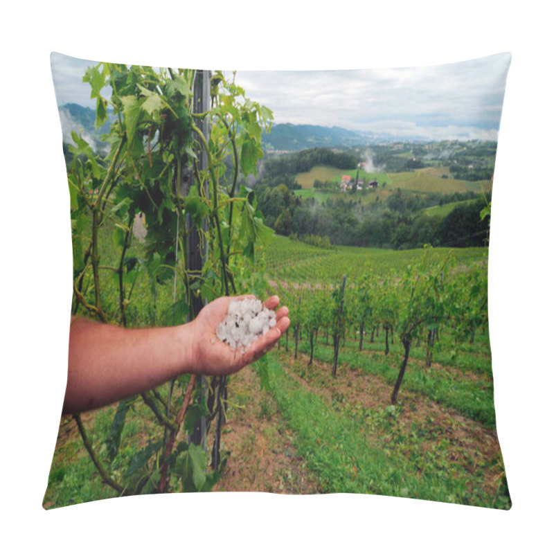 Personality  Hail Damage In A Vineyard, Farmer Showing Damaged Vine Plants Pillow Covers