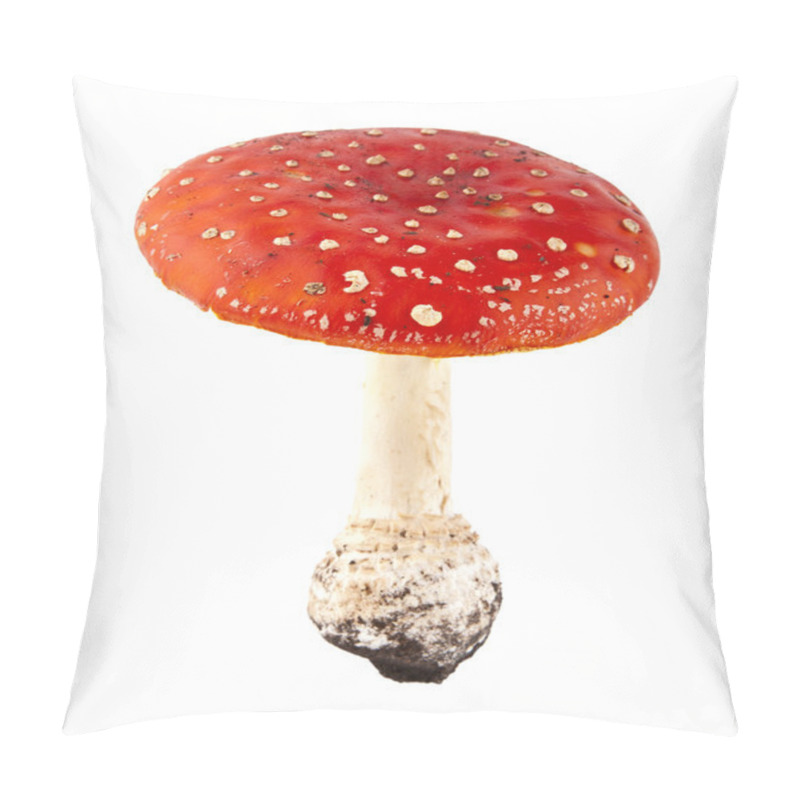 Personality  Amanita Pillow Covers