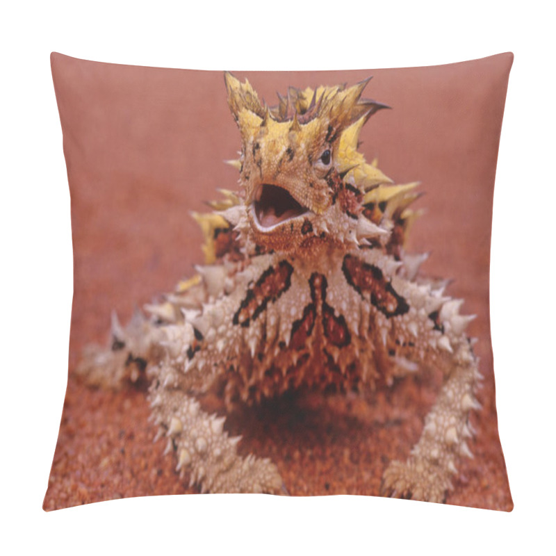 Personality  The Thorny Devil (Moloch Horridus), Also Known Commonly As The Mountain Devil, Thorny Lizard, Thorny Dragon, And Moloch, Is A Species Of Lizard In The Family Agamidae. Pillow Covers