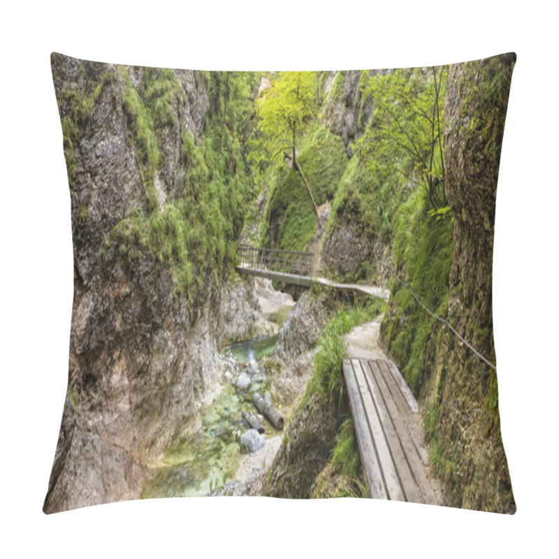 Personality  The Almbachklamm In Berchtesgaden In Bavaria Pillow Covers