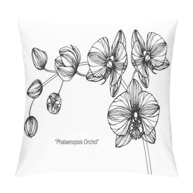 Personality  Orchids Flower. Drawing And Sketch With Black And White Line-art. Pillow Covers