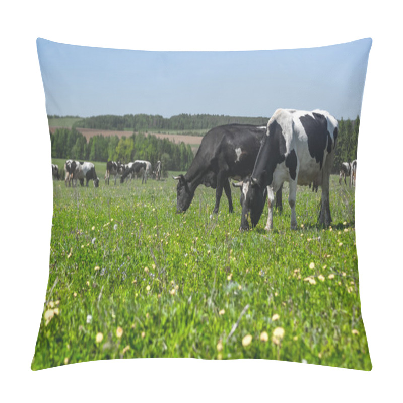 Personality  Cows Grazing On A Summer Meadow Pillow Covers