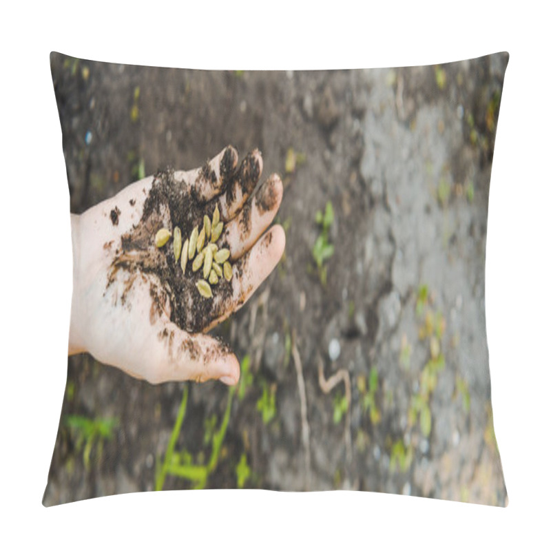 Personality  Cropped Image Of Farmer Holding Cardamom Seeds With Soil In Field At Farm Pillow Covers