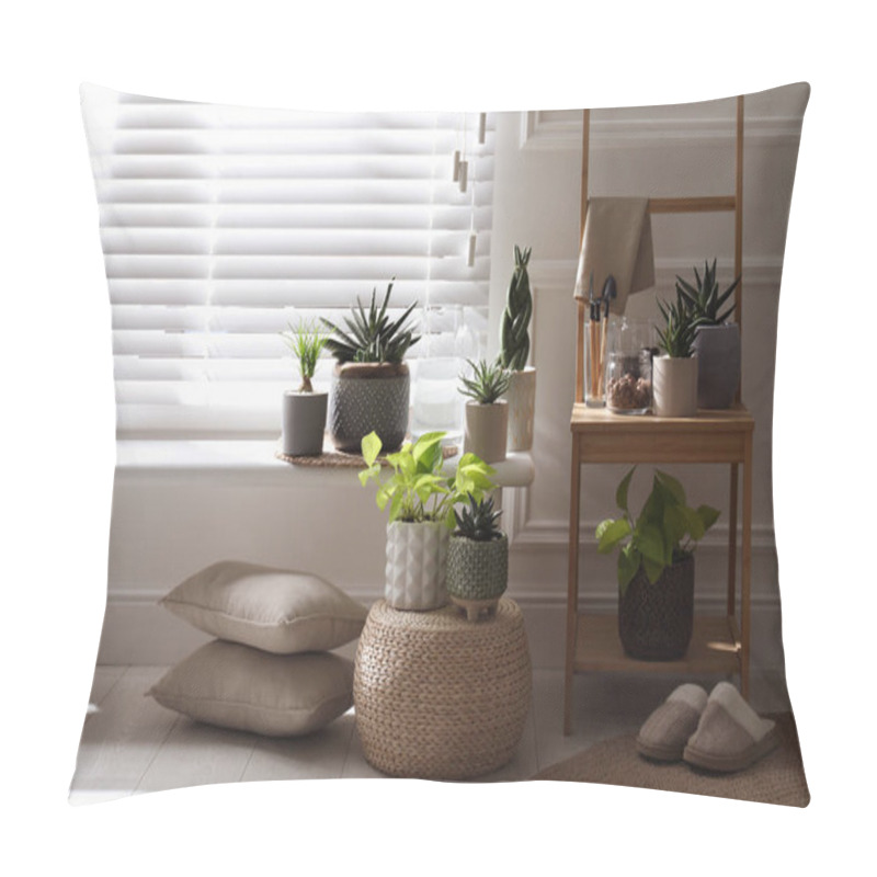 Personality  Beautiful Potted Houseplants Near Window At Home Pillow Covers