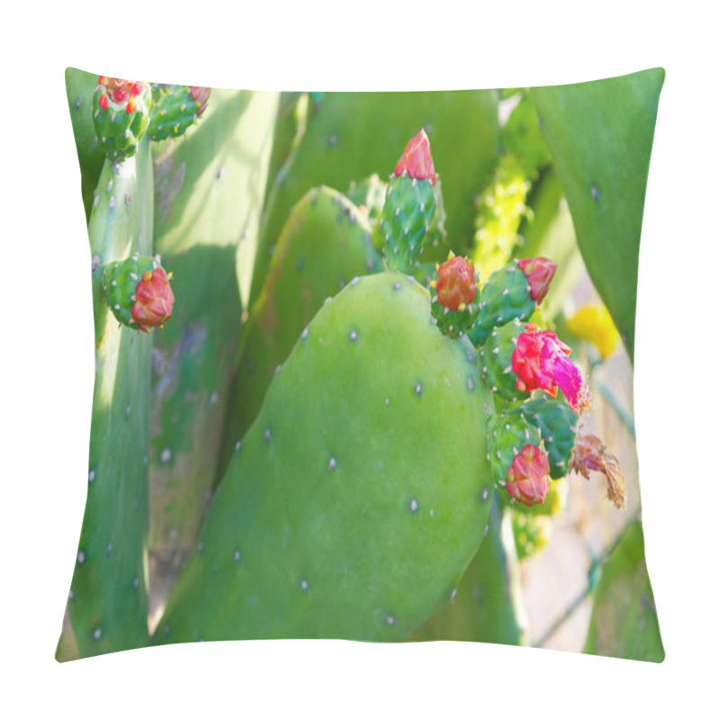 Personality  Cactus With Blossoms Pillow Covers