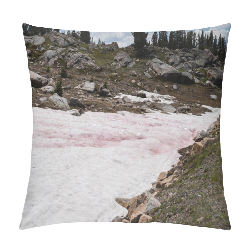 Personality  Pink Snow, A Phenomenon Known As Watermelon Snow, Found In The Summer Along The Beartooth Highway In Montana Pillow Covers