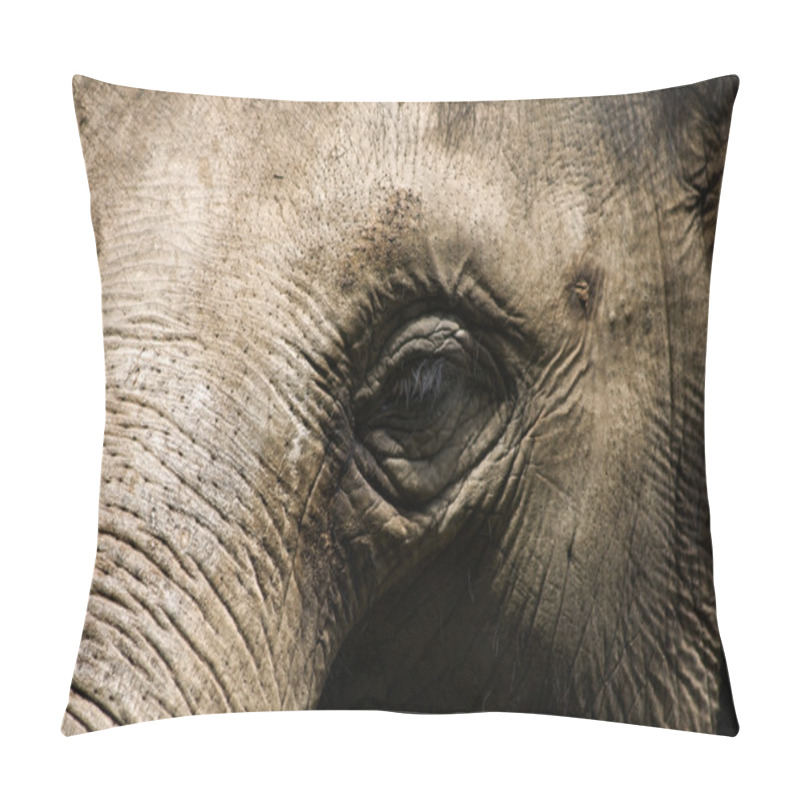 Personality  An Elephant Head Close Up Pillow Covers