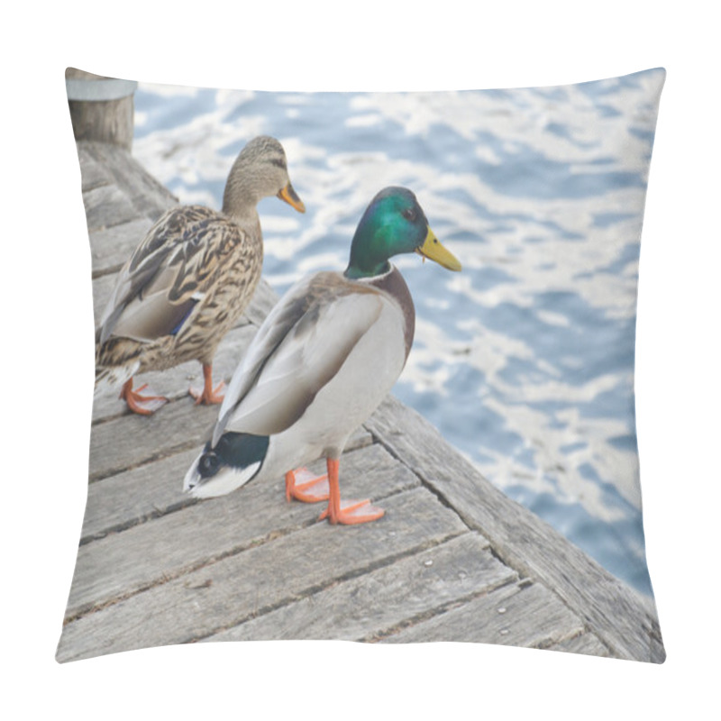 Personality  Wild Ducks On A Beautiful Lake Pillow Covers