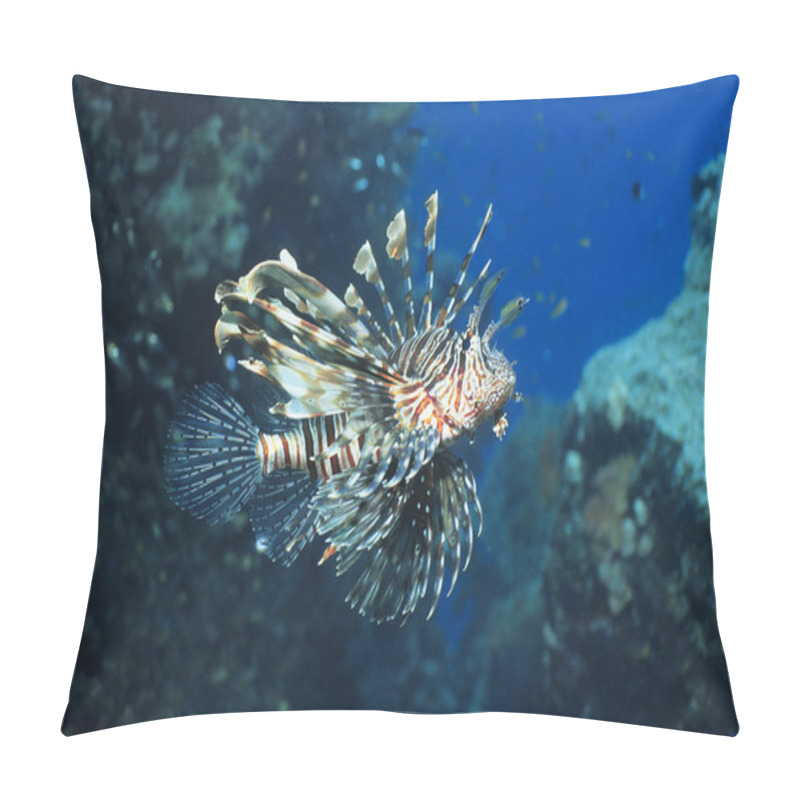 Personality  Lion Fish Pillow Covers