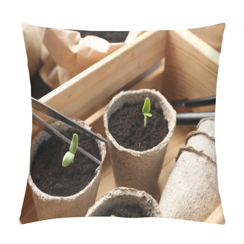 Personality  Young Seedlings In Peat Pots In Wooden Crate Pillow Covers