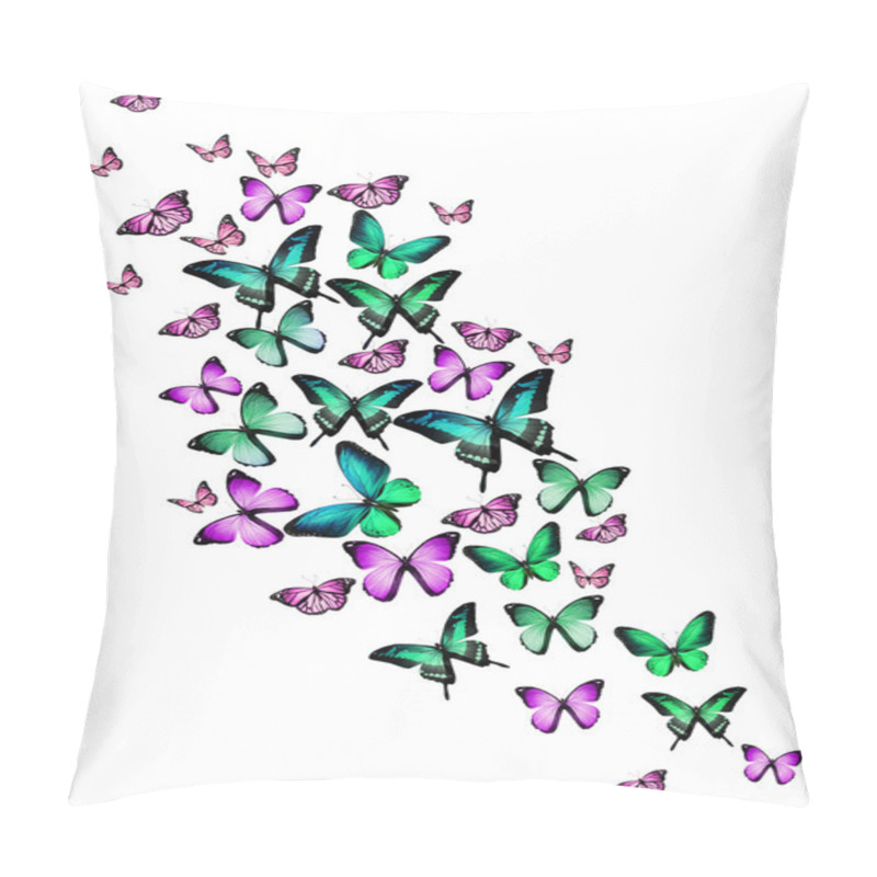 Personality  Many Different Butterflies, Isolated On White Background Pillow Covers