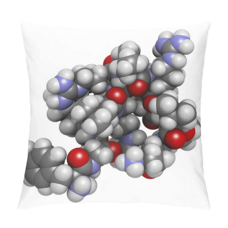 Personality  Dynorphin A Endogenous Opioid Peptide Molecule. 3D Rendering. Atoms Are Represented As Spheres With Conventional Color Coding. Pillow Covers