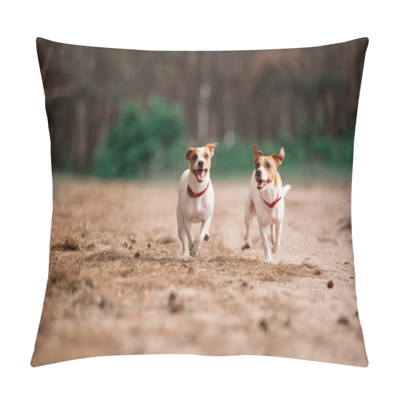 Personality  Playful Jack Russell Breed Dogs Running In Forest Together  Pillow Covers