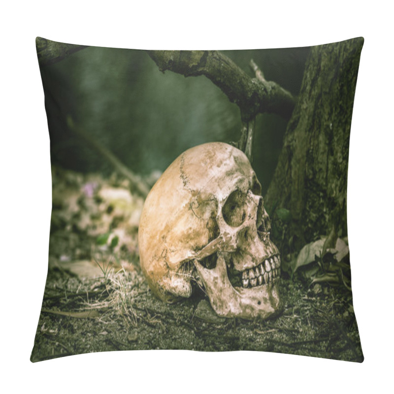 Personality  Still Life Skull Pillow Covers